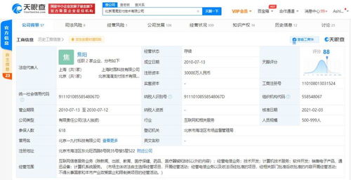 計(jì)算機(jī)軟件的開發(fā) 從概念到實(shí)現(xiàn)的科技之旅